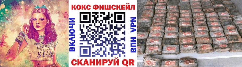 КОКАИН FishScale  блэк спрут маркетплейс  Ядрин 