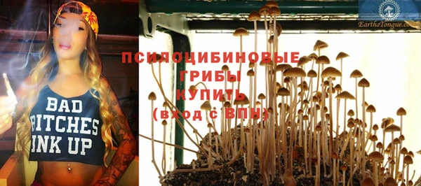 не бодяженный Абаза