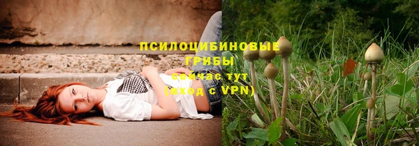 spice Абдулино